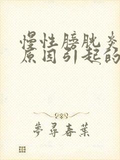 慢性膀胱炎什么原因引起的