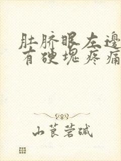 肚脐眼左边摸着有硬块疼痛