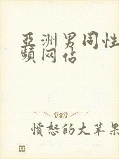 亚洲男同性恋视频网站