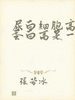 尿白细胞高和尿蛋白高是一回事吗