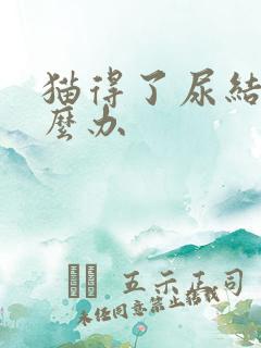 猫得了尿结石怎么办