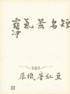 霸气签名短句干净