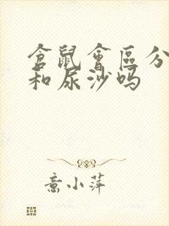 仓鼠会区分浴沙和尿沙吗