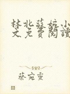 林北苏婉小说全文免费阅读最新杨辰