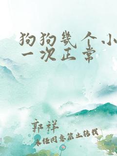 狗狗几个小时尿一次正常