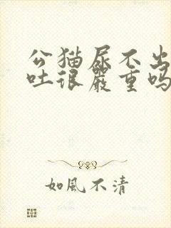 公猫尿不出来呕吐很严重吗