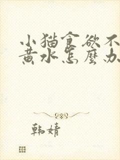 小猫食欲不振吐黄水怎么办