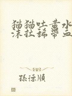 猫猫吐黄水带泡沫拉稀带血