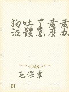 狗吐了黄黄粘稠液体怎么办