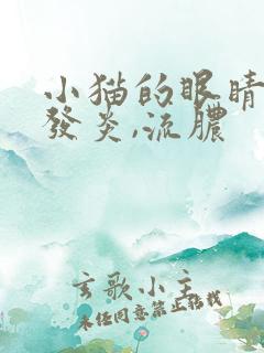 小猫的眼睛红肿发炎,流脓