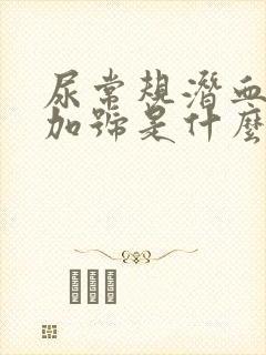 尿常规潜血1个加号是什么意思