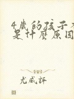 4岁的孩子不说是什么原因