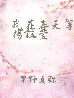 我在春天等着你杨钰莹