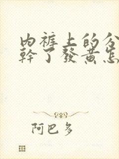 内裤上的分泌物干了发黄怎么回事