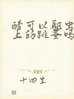 醋可以驱虫狗身上的跳蚤吗