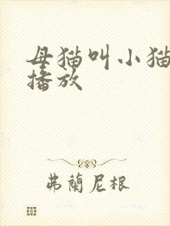 母猫叫小猫声音播放