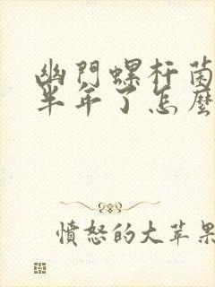 幽门螺杆菌感染半年了怎么办