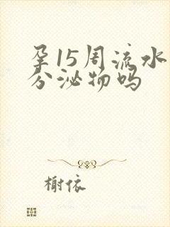 孕15周流水样分泌物吗