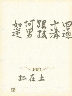 如何跟十四岁叛逆男孩沟通