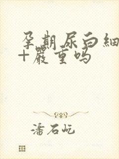 孕期尿白细胞3+严重吗