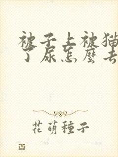 被子上被猫咪尿了尿怎么去味