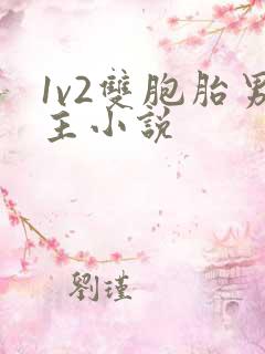 1v2双胞胎男主小说