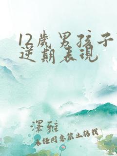 12岁男孩子叛逆期表现