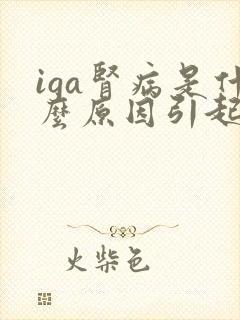 iga肾病是什么原因引起的