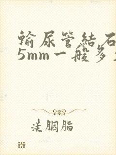 输尿管结石0.5mm一般多久能排出