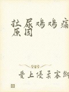 拉尿鸡鸡痛什么原因