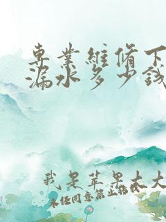 专业维修下水管漏水多少钱