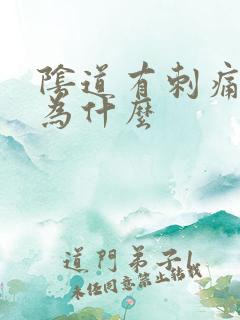 阴道有刺痛感是为什么