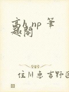 高h np 笔趣阁