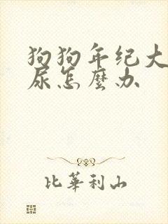 狗狗年纪大了漏尿怎么办