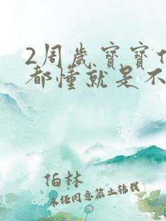 2周岁宝宝什么都懂就是不说话