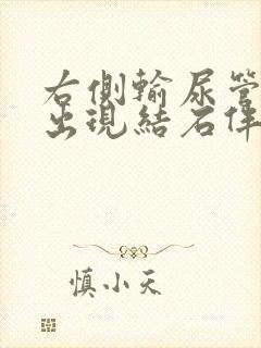 右侧输尿管下段出现结石伴右肾轻度积水