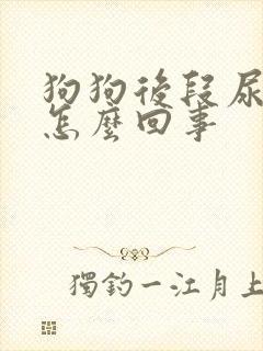 狗狗后段尿带血怎么回事