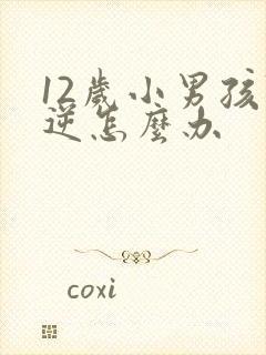 12岁小男孩叛逆怎么办