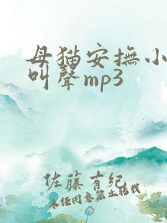 母猫安抚小猫的叫声mp3