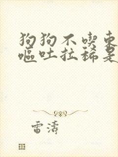 狗狗不吃东西还呕吐拉稀是怎么回事