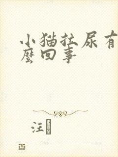 小猫拉尿有血怎么回事