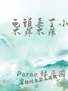 龟头长了小疙瘩不疼不痒