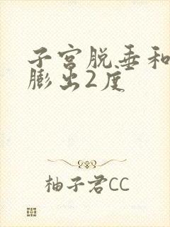 子宫脱垂和阴壁膨出2度