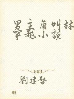 男主角叫林渊的穿越小说