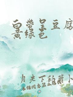 白带呈豆腐渣状黄绿色