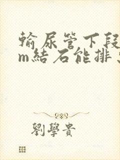 输尿管下段6mm结石能排出来吗