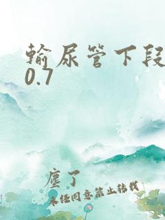输尿管下段结石0.7