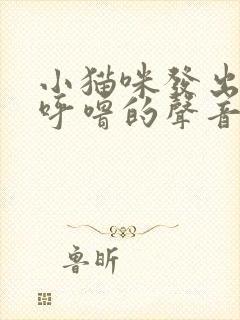 小猫咪发出呼噜呼噜的声音怎么回事