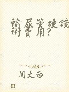 输尿管硬镜取石术费用?