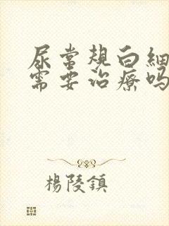 尿常规白细胞高需要治疗吗